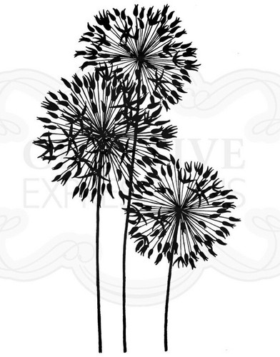 Make wish vorgeschnittener - a,